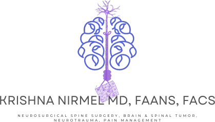 The Nirmel Neurological Institute INC